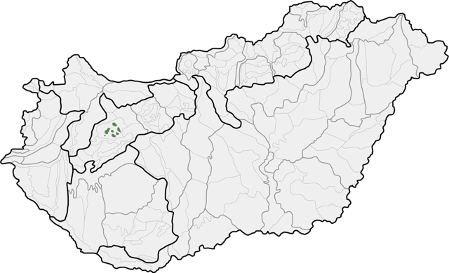 Bakonyi kismedenc�k